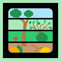Mat: Forest Layers