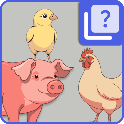 Farm animals - Match