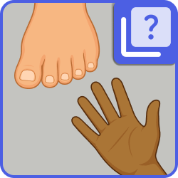 Body parts - Mismatch