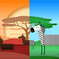 Safari tra le zebre