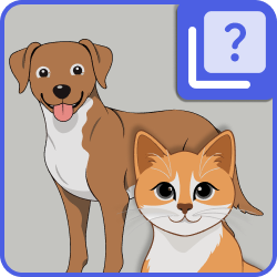 Pets - Quiz