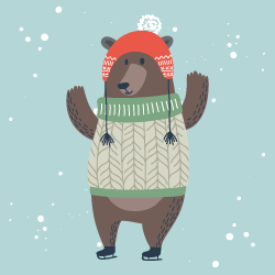 Dress Up The Bear